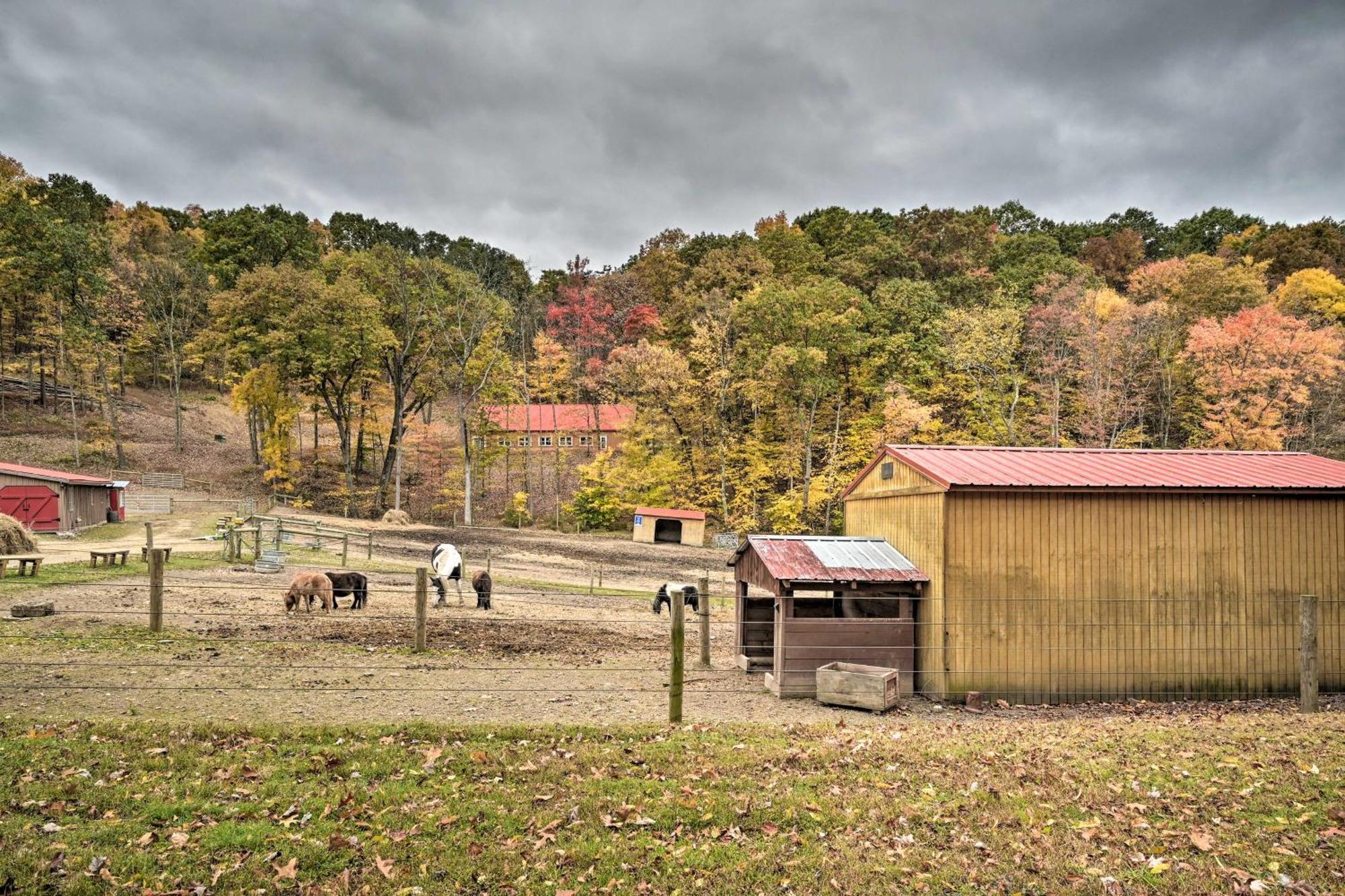 Lone Ranger Cabin With 50 Acres By Raystown Lake Huntingdon Dış mekan fotoğraf