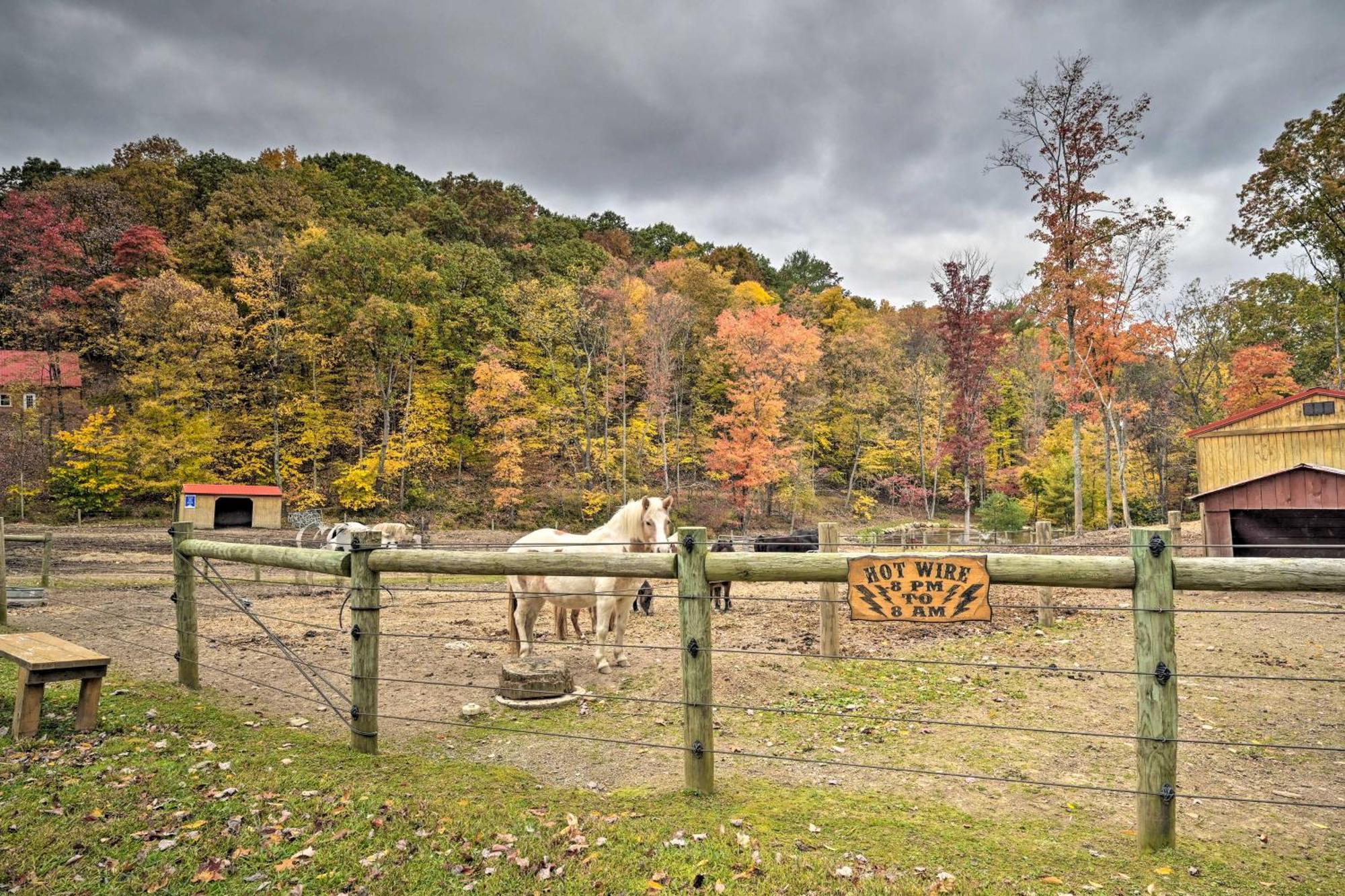 Lone Ranger Cabin With 50 Acres By Raystown Lake Huntingdon Dış mekan fotoğraf